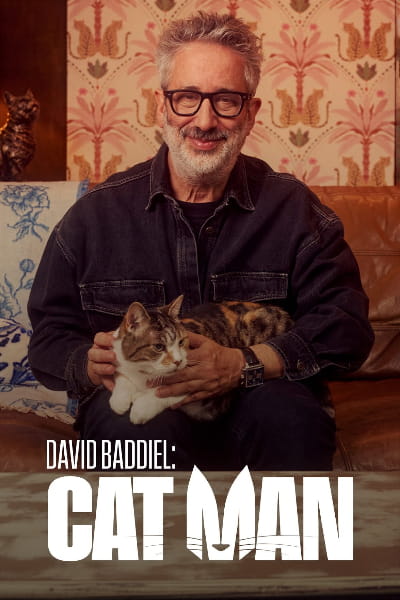 David Baddiel: Cat Man - Season 1