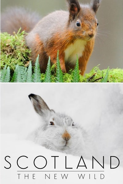 Scotland: The New Wild - Season 1