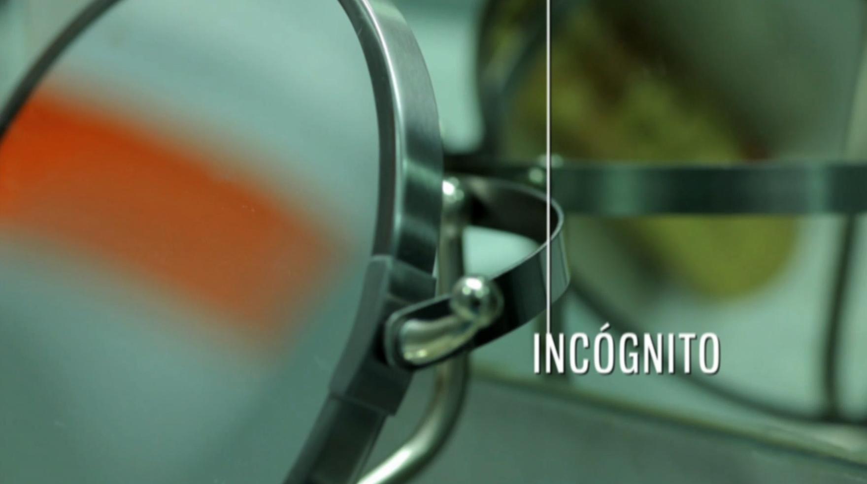 Inc&oacute;gnito [Audio: French]