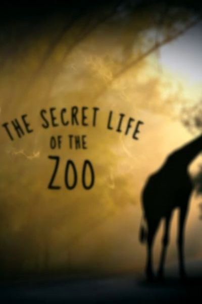 The Secret Life of The Zoo - Season 6
