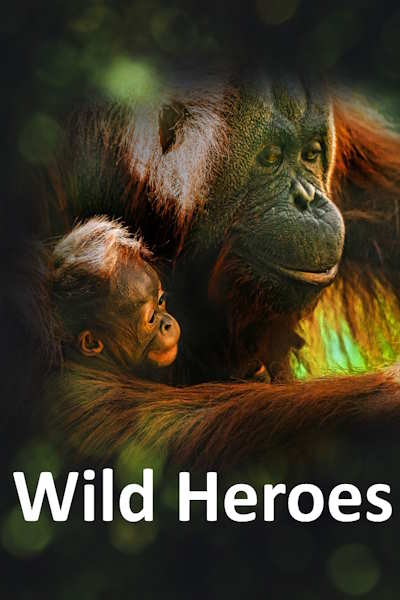 Wild Heroes - Season 3