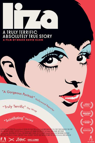 Liza A Truly Terrific Absolutely True Story