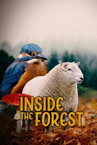 Inside the Forest: Seasons of Wonder - Season 1