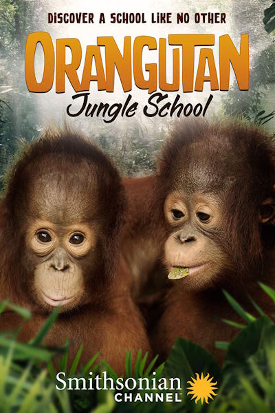Orangutan Jungle School - Season 1
