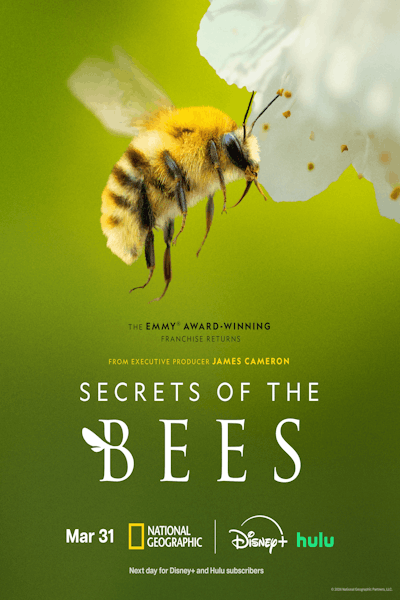 Secrets of the Bees - Season 1