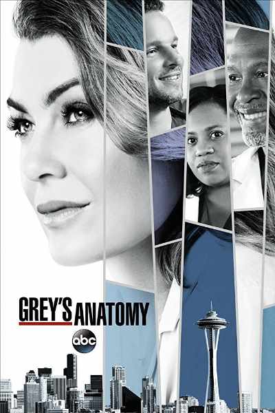 Greys Anatomy - Season 14