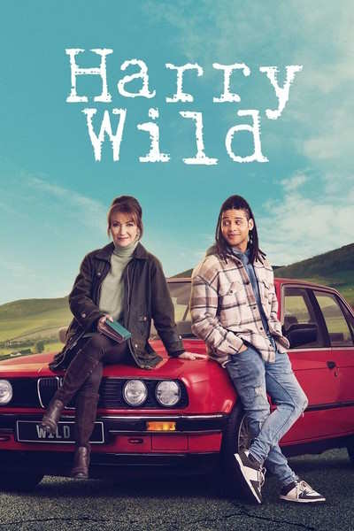 Harry Wild - Season 4