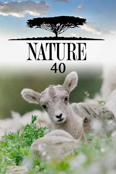 Nature - Season 40