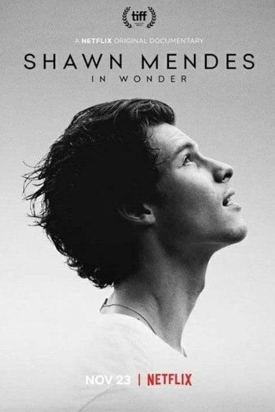 Shawn Mendes: In Wonder