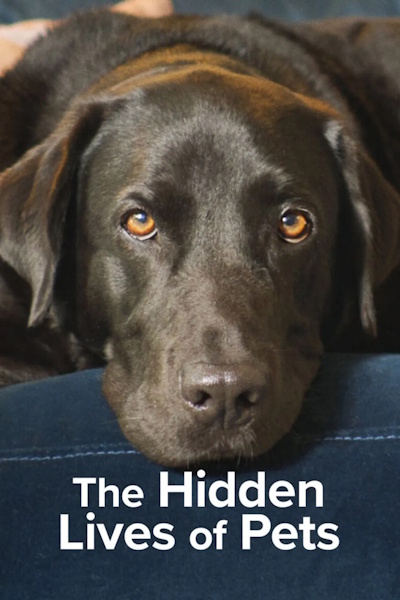The Hidden Lives of Pets - Season 1