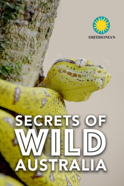 Secrets of Wild Australia - Season 1