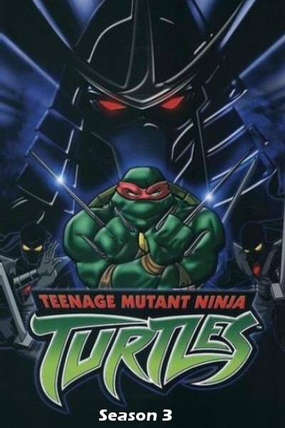 Teenage Mutant Ninja Turtles - Season 3 (2003)
