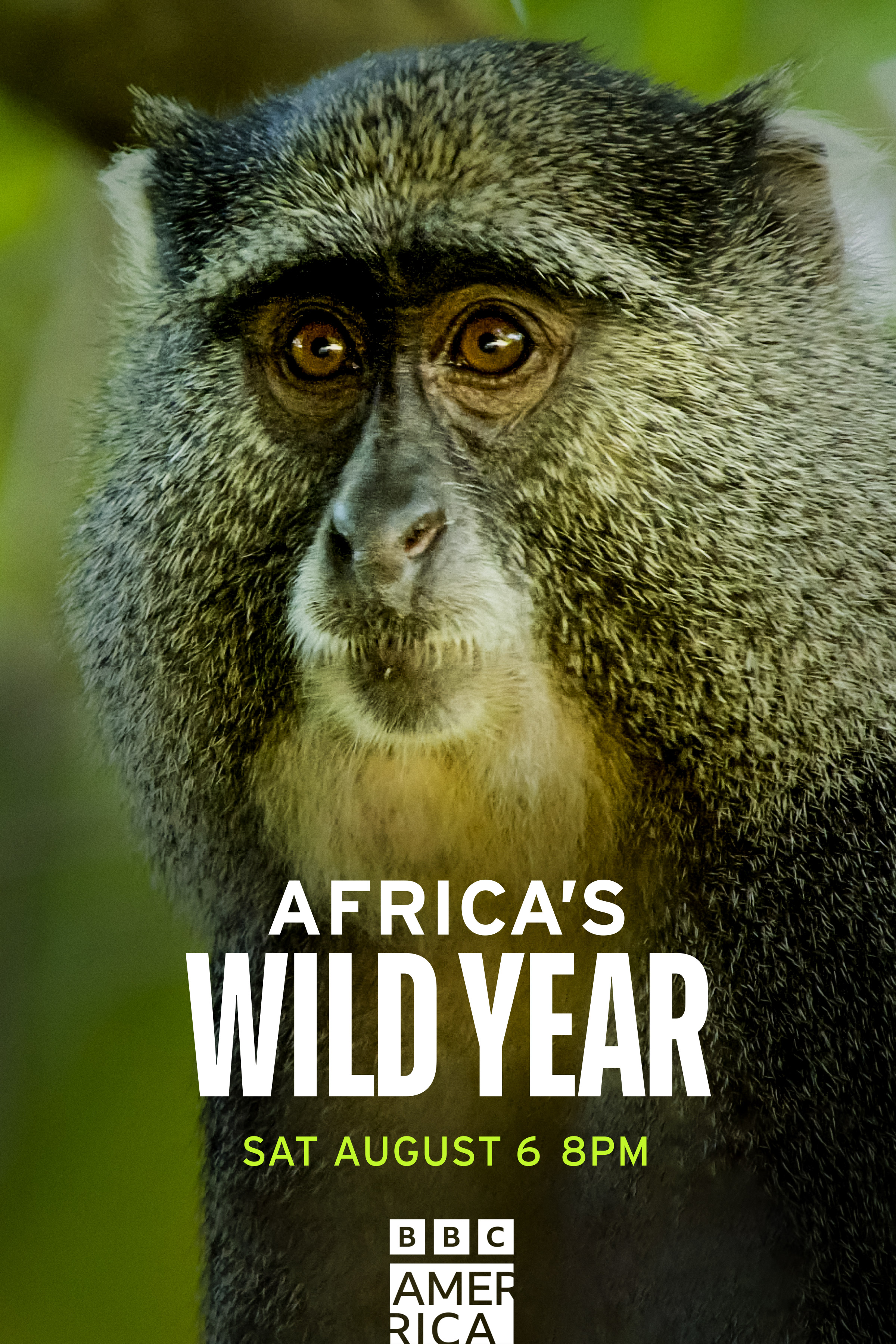 Africas wild year - Season 1