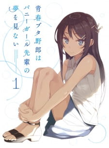 Seishun Buta Yarou wa Bunny Girl Senpai no Yume wo Minai Picture Drama [Sub: Eng]