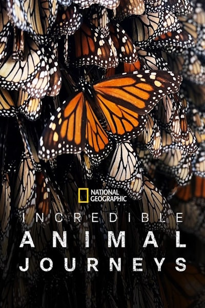 Incredible Animal Journeys - Season 1
