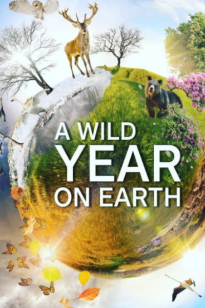 A Wild Year on Earth - Season 1