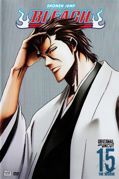 Bleach - Season 15