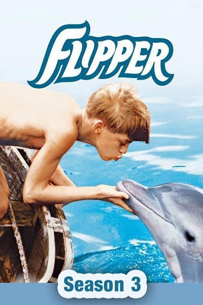 Flipper - Season 3