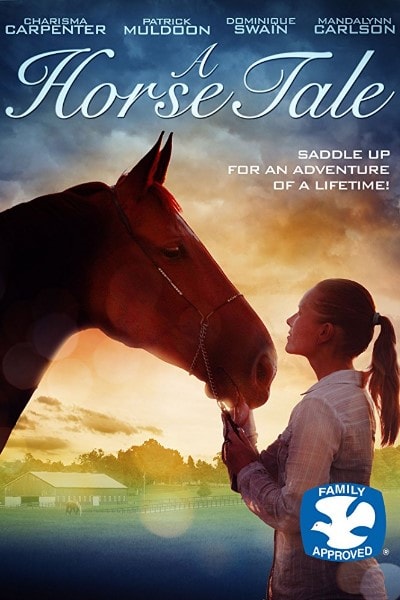 A Horse Tail